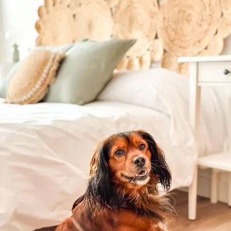 Luar By Aloga Appartement