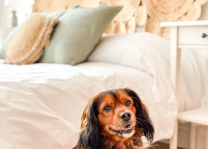 Luar By Aloga Appartement